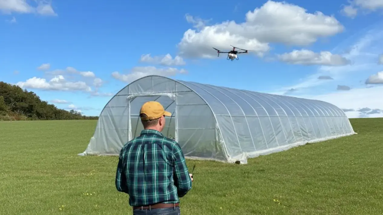 A drone operator watches as drone hovers over poly tunnel