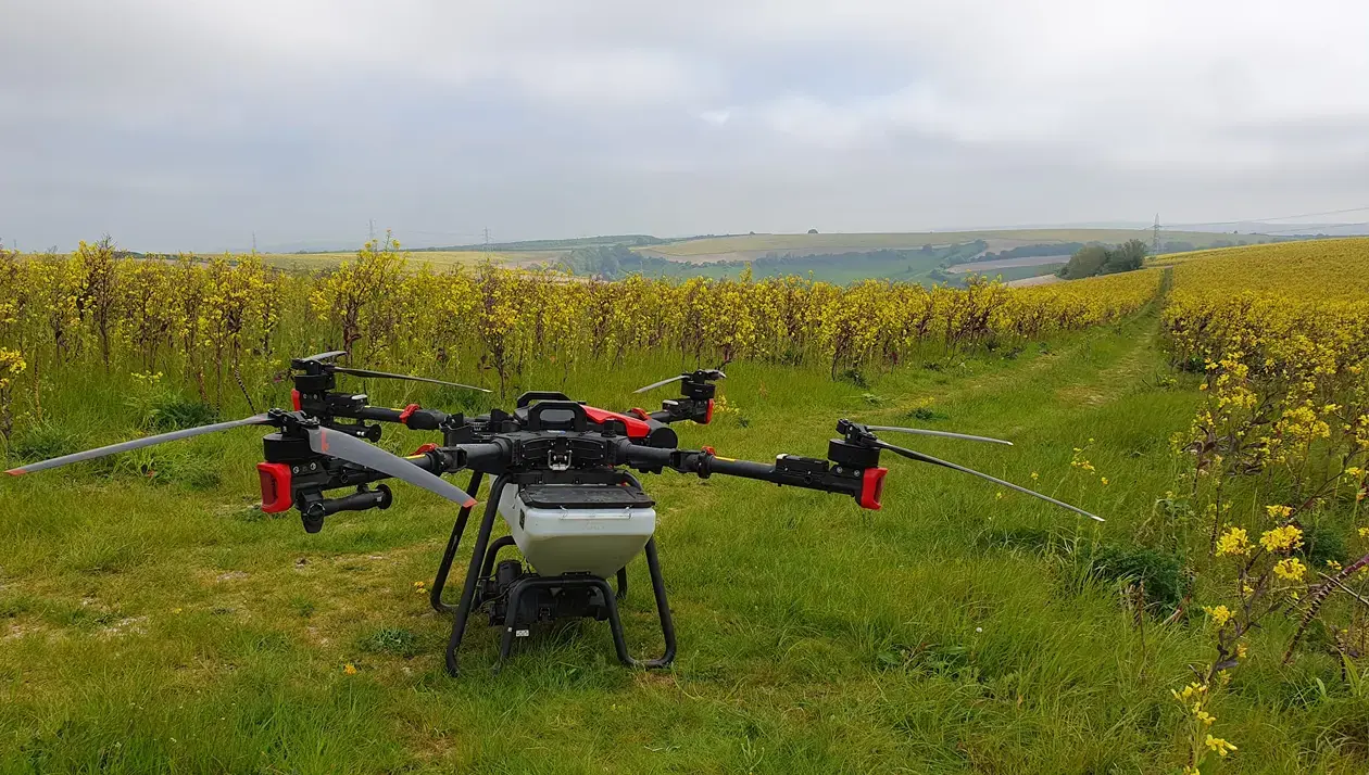 XAG agricultural drone in field with yellow flowers