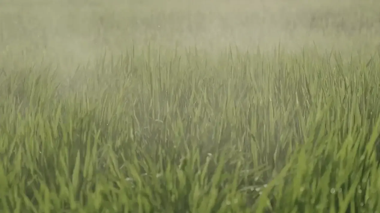 Forget the Drone, Focus on the Droplets: Why Leaf Adhesion is the Only Metric That Matters
