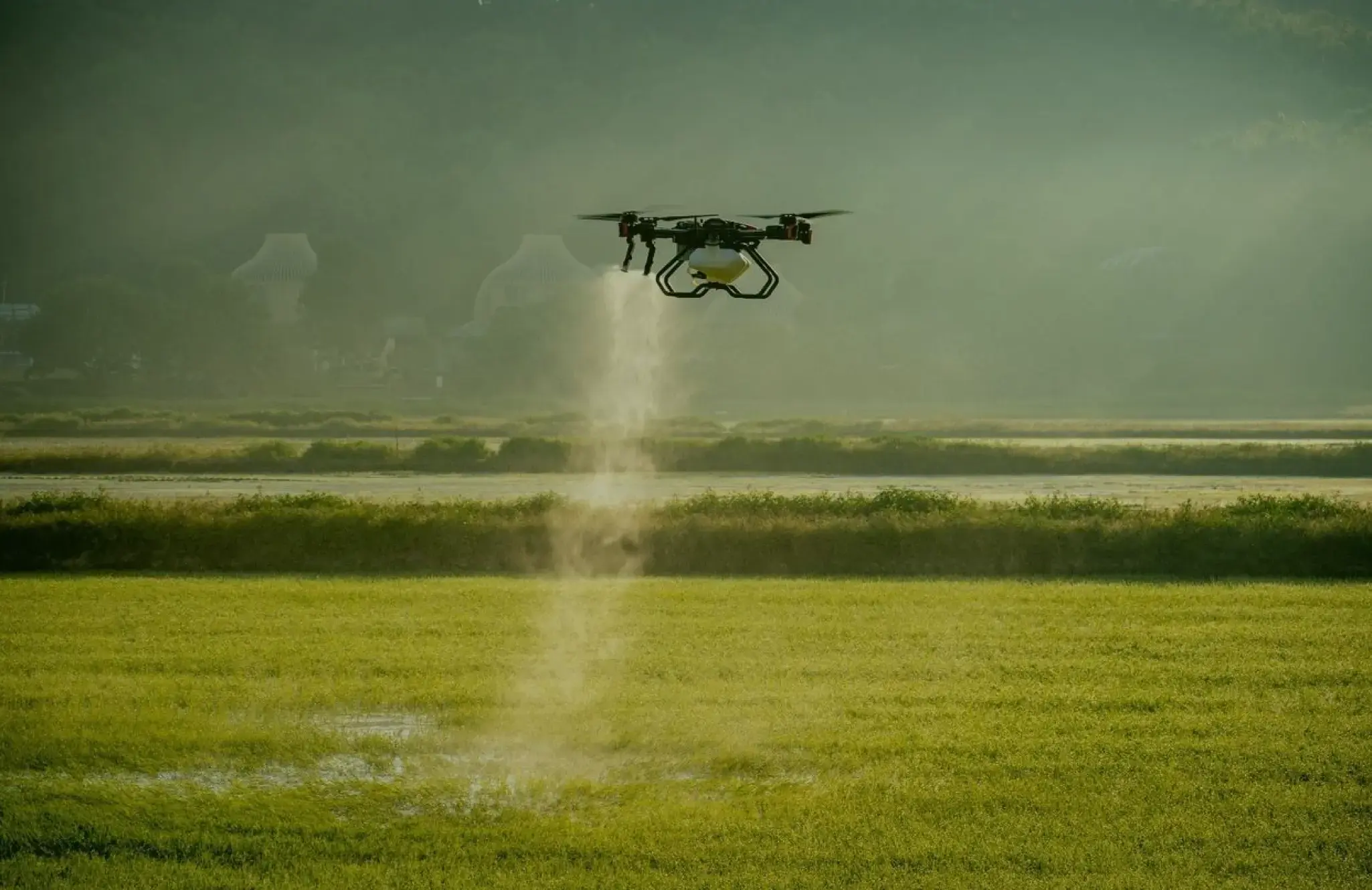Drone spraying agriculture
