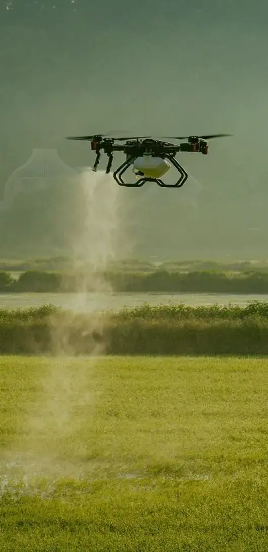 Drone spraying agriculture