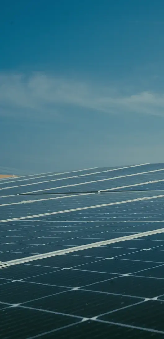 Drone solar panel cleaning
