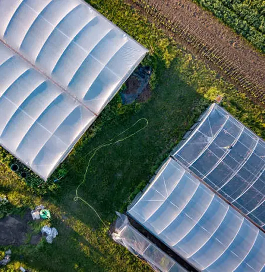 Aerial shot of clean poly tunnels.
