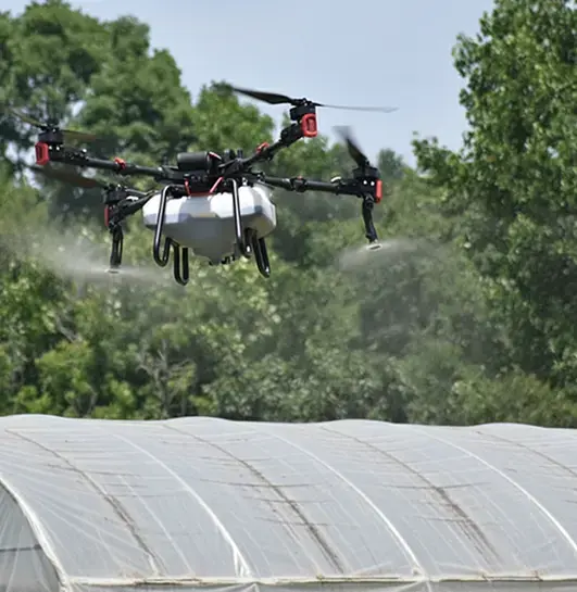 Aerial shot of clean poly tunnels.