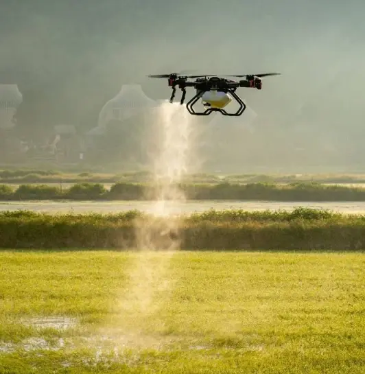 XAG p100 Drone spraying a field of maze
