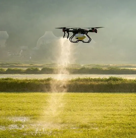 XAG p100 Drone spraying a field of maze