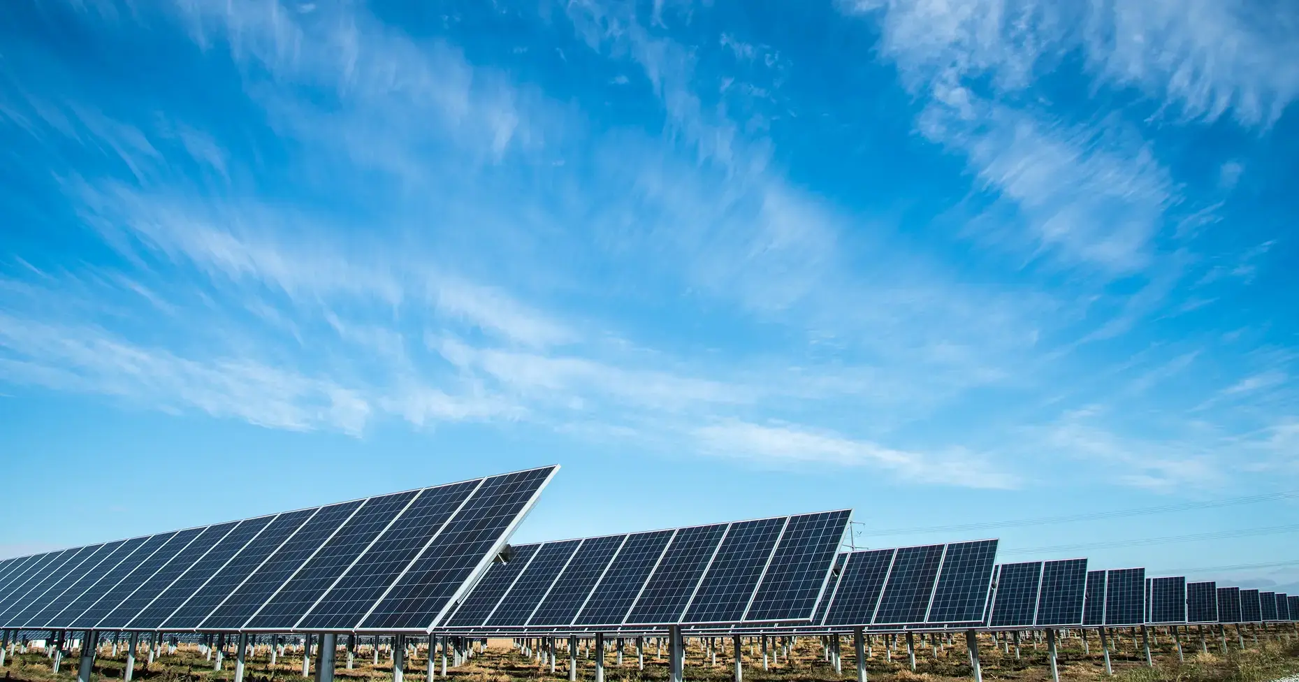 A large commercial array of solar panels under a blue clear sky.