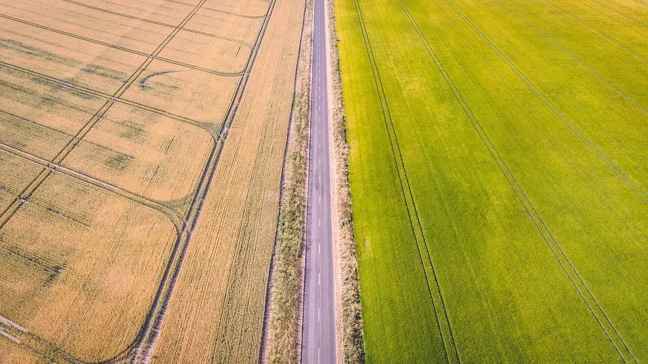 Tractor tramlines in a field