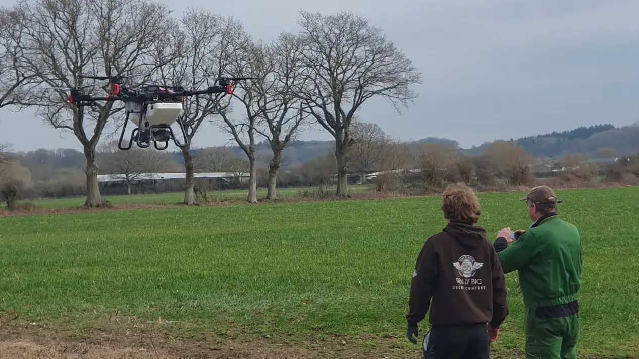 Tractor tramlines in a field